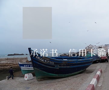 承诺书 信用卡逾期